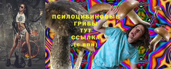 спиды Алзамай